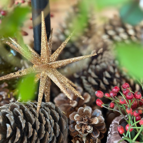 Unser größtes Weihnachtsgeschenk 2025