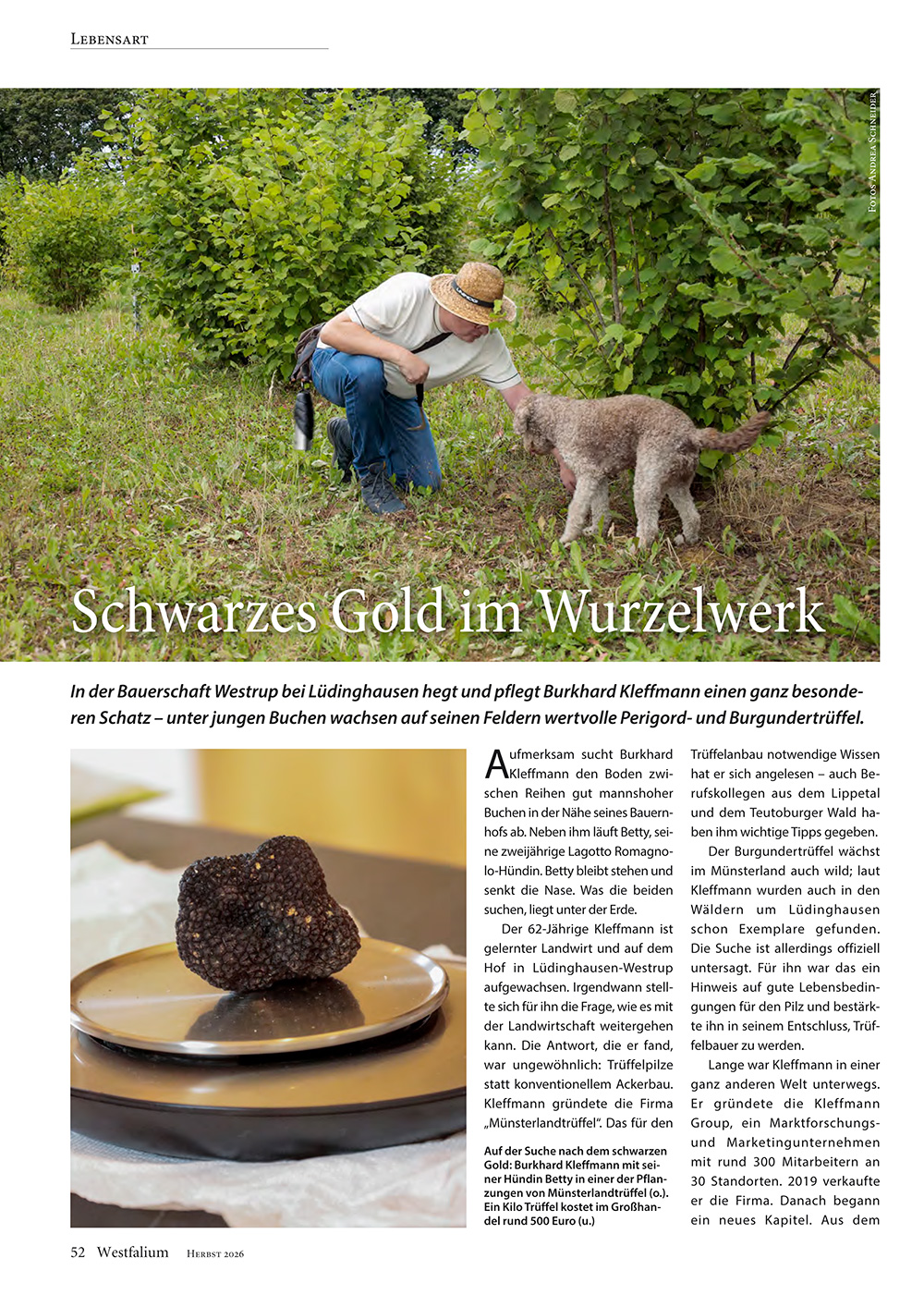 Erste Seite eines Artikels aus der Zeitschrift „Westfalium“ (Herbst 2026) mit Burkhard Kleffmann und seinem Trüffelhund als großes Foto und einem Trüffel als zweites Foto. Titel der Artikels: „Schwarzes Gold im Wurzelwerk.“