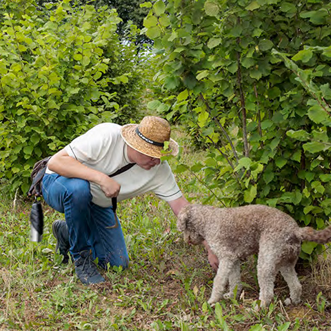 Burkhard Kleffmann mit Hund Betty auf Trüffelsuche